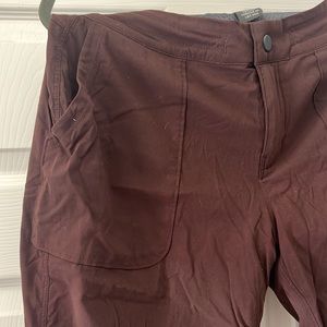 Mountain Hardwear Lined Dynama Brown Joggers